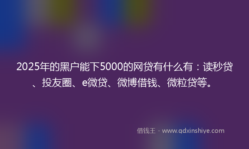 2025年的黑户能下5000的网贷有什么有：读秒贷、投友圈、e微贷、微博借钱、微粒贷等。