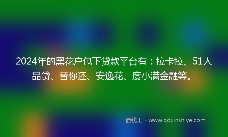 2024年的黑花户包下贷款平台有：拉卡拉、51人品贷、替你还、安逸花、度小满金融等。