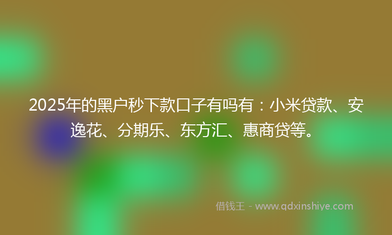 2025年的黑户秒下款口子有吗有：小米贷款、安逸花、分期乐、东方汇、惠商贷等。