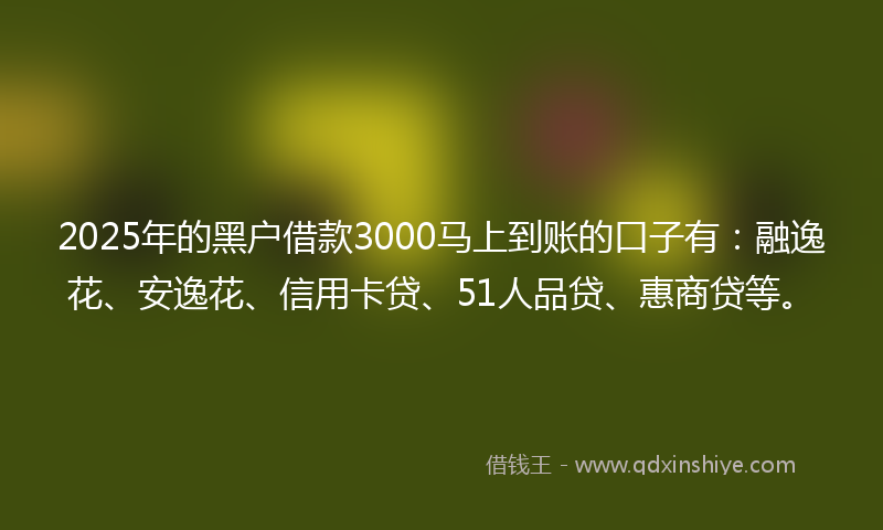 2025年的黑户借款3000马上到账的口子有：融逸花、安逸花、信用卡贷、51人品贷、惠商贷等。
