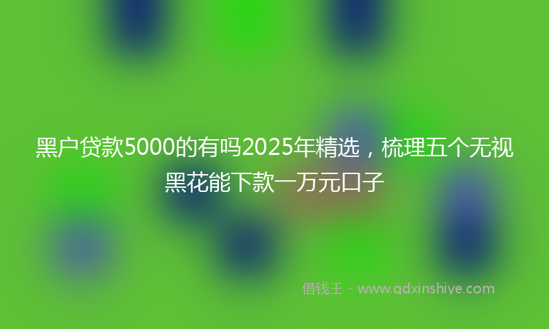 黑户贷款5000的有吗2025年精选，梳理五个无视黑花能下款一万元口子