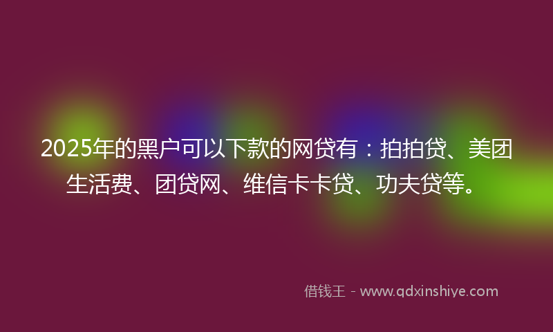 2025年的黑户可以下款的网贷有：拍拍贷、美团生活费、团贷网、维信卡卡贷、功夫贷等。