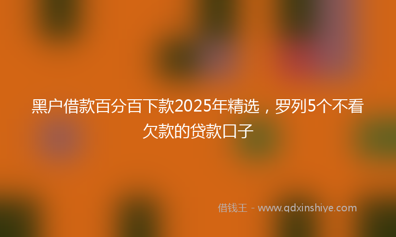 黑户借款百分百下款2025年精选，罗列5个不看欠款的贷款口子