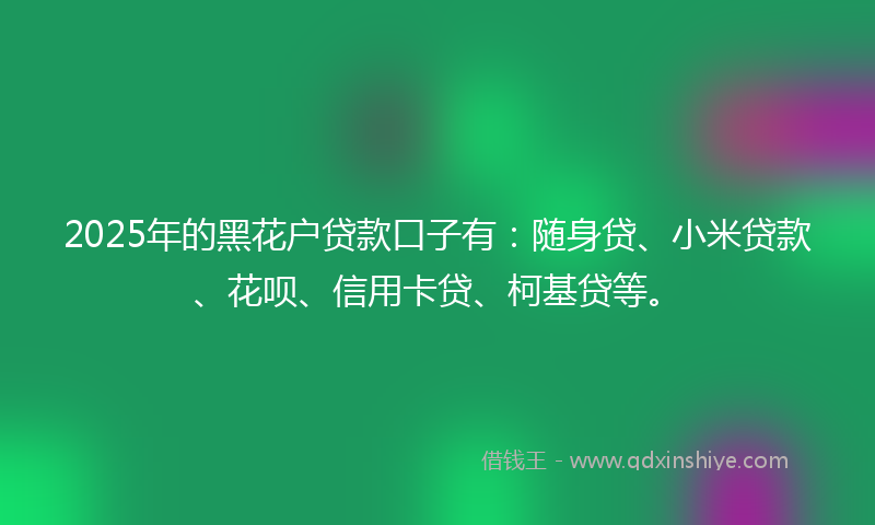 2025年的黑花户贷款口子有：随身贷、小米贷款、花呗、信用卡贷、柯基贷等。