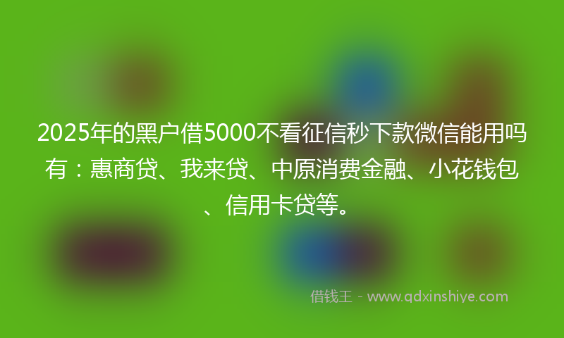 2025年的黑户借5000不看征信秒下款微信能用吗有：惠商贷、我来贷、中原消费金融、小花钱包、信用卡贷等。