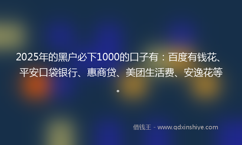 2025年的黑户必下1000的口子有：百度有钱花、平安口袋银行、惠商贷、美团生活费、安逸花等。