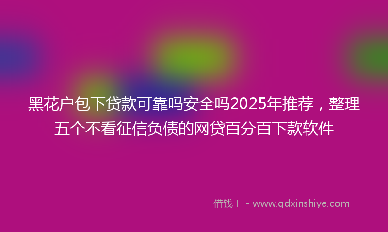 黑花户包下贷款可靠吗安全吗2025年推荐，整理五个不看征信负债的网贷百分百下款软件