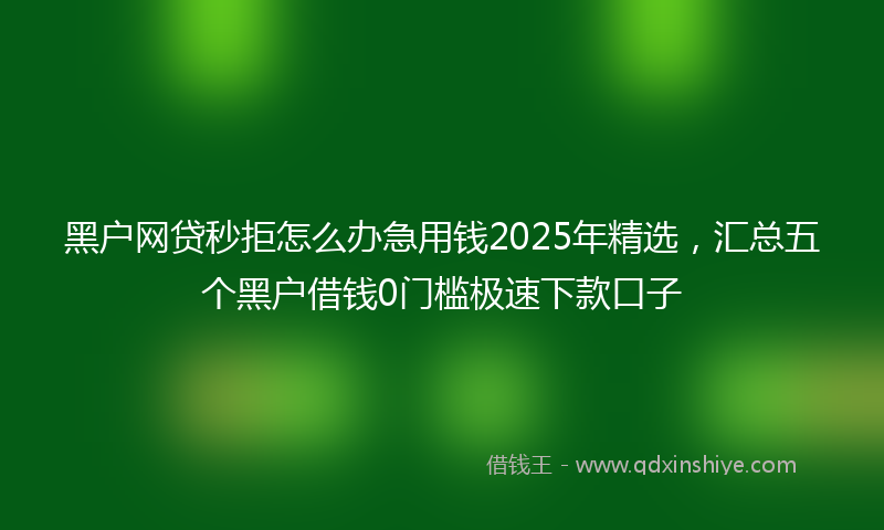 黑户网贷秒拒怎么办急用钱2025年精选，汇总五个黑户借钱0门槛极速下款口子