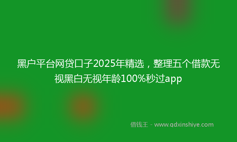 黑户平台网贷口子2025年精选，整理五个借款无视黑白无视年龄100%秒过app