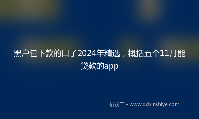 黑户包下款的口子2024年精选，概括五个11月能贷款的app