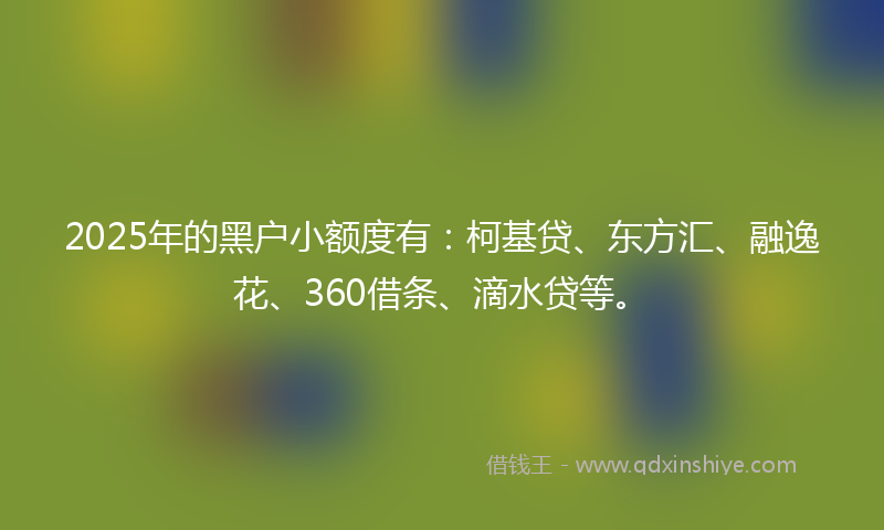 2025年的黑户小额度有：柯基贷、东方汇、融逸花、360借条、滴水贷等。