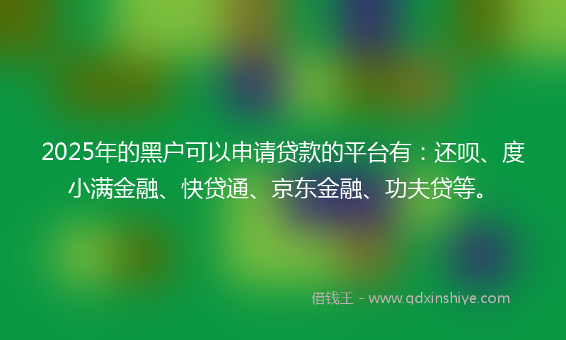 2025年的黑户可以申请贷款的平台有：还呗、度小满金融、快贷通、京东金融、功夫贷等。