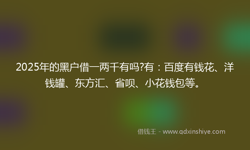 2025年的黑户借一两千有吗?有：百度有钱花、洋钱罐、东方汇、省呗、小花钱包等。