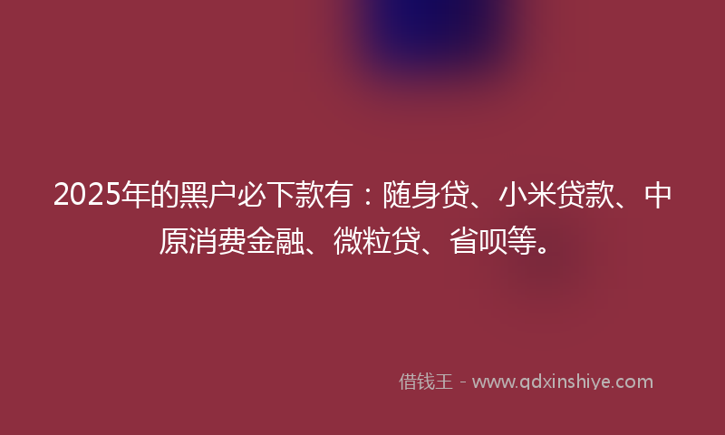 2025年的黑户必下款有：随身贷、小米贷款、中原消费金融、微粒贷、省呗等。