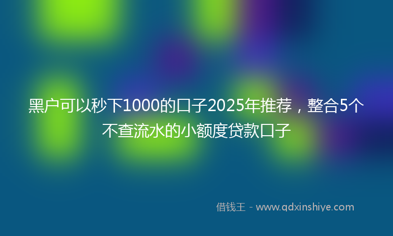 黑户可以秒下1000的口子2025年推荐，整合5个不查流水的小额度贷款口子