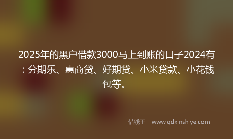 2025年的黑户借款3000马上到账的口子2024有：分期乐、惠商贷、好期贷、小米贷款、小花钱包等。