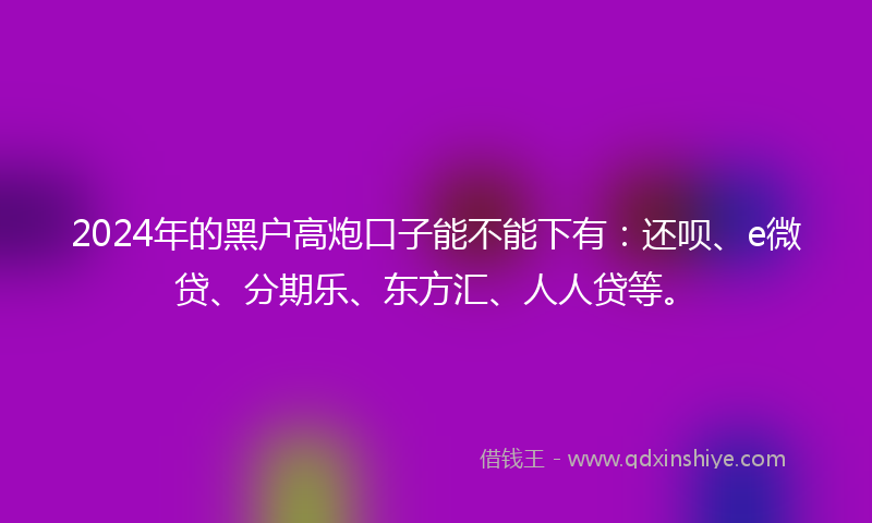 2024年的黑户高炮口子能不能下有：还呗、e微贷、分期乐、东方汇、人人贷等。