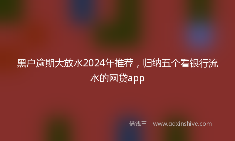 黑户逾期大放水2024年推荐，归纳五个看银行流水的网贷app