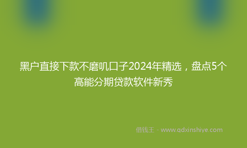 黑户直接下款不磨叽口子2024年精选，盘点5个高能分期贷款软件新秀