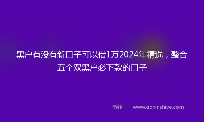 黑户有没有新口子可以借1万2024年精选，整合五个双黑户必下款的口子