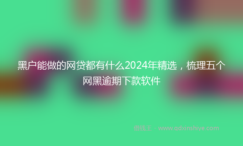 黑户能做的网贷都有什么2024年精选，梳理五个网黑逾期下款软件