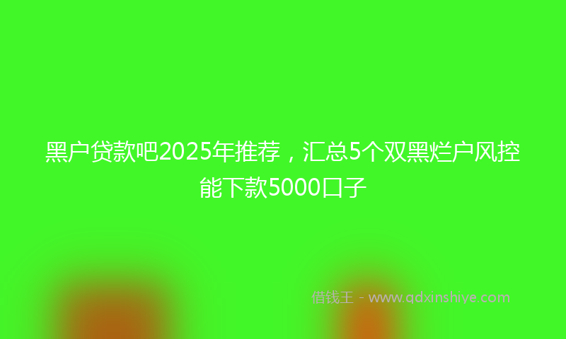 黑户贷款吧2025年推荐，汇总5个双黑烂户风控能下款5000口子