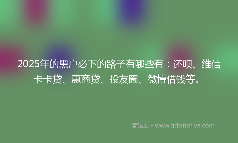 2025年的黑户必下的路子有哪些有：还呗、维信卡卡贷、惠商贷、投友圈、微博借钱等。