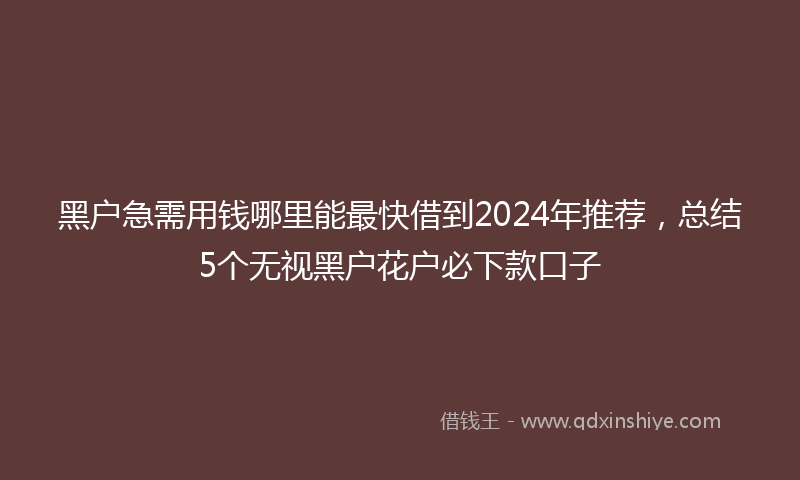 黑户急需用钱哪里能最快借到2024年推荐，总结5个无视黑户花户必下款口子