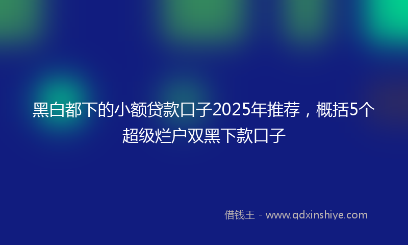 黑白都下的小额贷款口子2025年推荐，概括5个超级烂户双黑下款口子