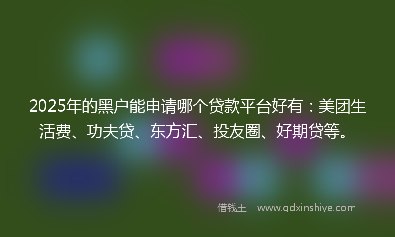 2025年的黑户能申请哪个贷款平台好有：美团生活费、功夫贷、东方汇、投友圈、好期贷等。