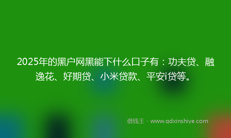 2025年的黑户网黑能下什么口子有：功夫贷、融逸花、好期贷、小米贷款、平安i贷等。