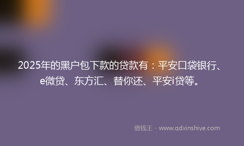 2025年的黑户包下款的贷款有：平安口袋银行、e微贷、东方汇、替你还、平安i贷等。
