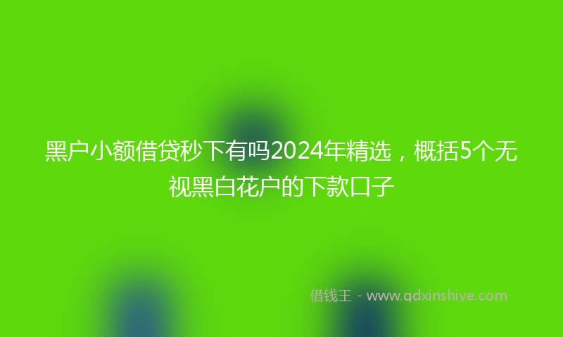 黑户小额借贷秒下有吗2024年精选，概括5个无视黑白花户的下款口子