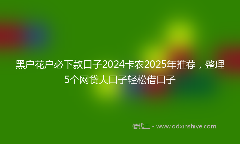 黑户花户必下款口子2024卡农2025年推荐，整理5个网贷大口子轻松借口子