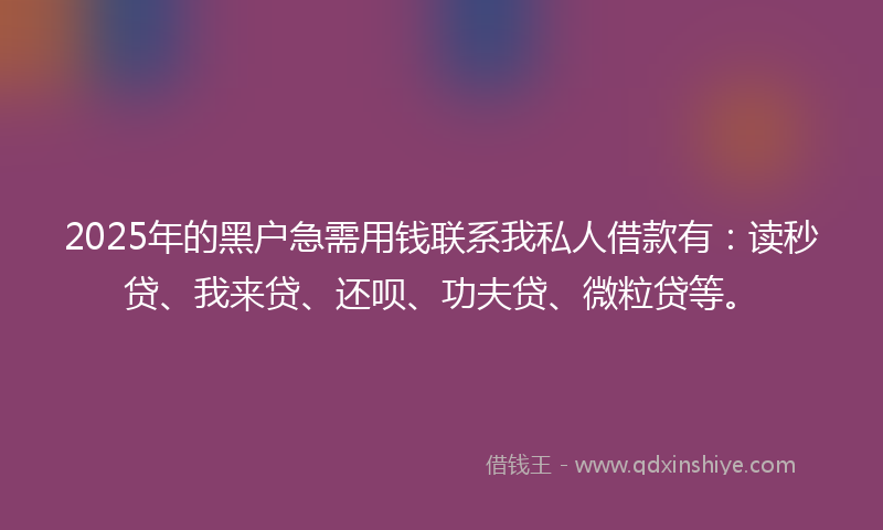 2025年的黑户急需用钱联系我私人借款有：读秒贷、我来贷、还呗、功夫贷、微粒贷等。