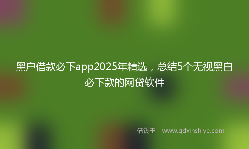 黑户借款必下app2025年精选，总结5个无视黑白必下款的网贷软件