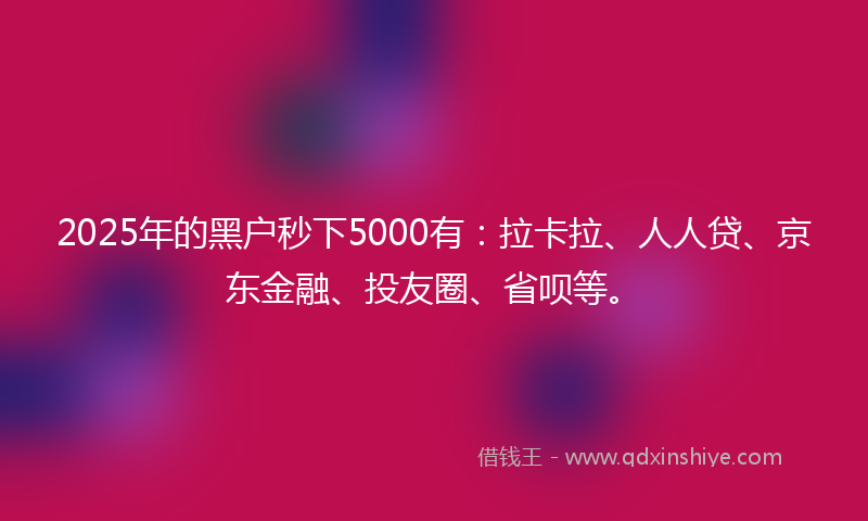 2025年的黑户秒下5000有：拉卡拉、人人贷、京东金融、投友圈、省呗等。