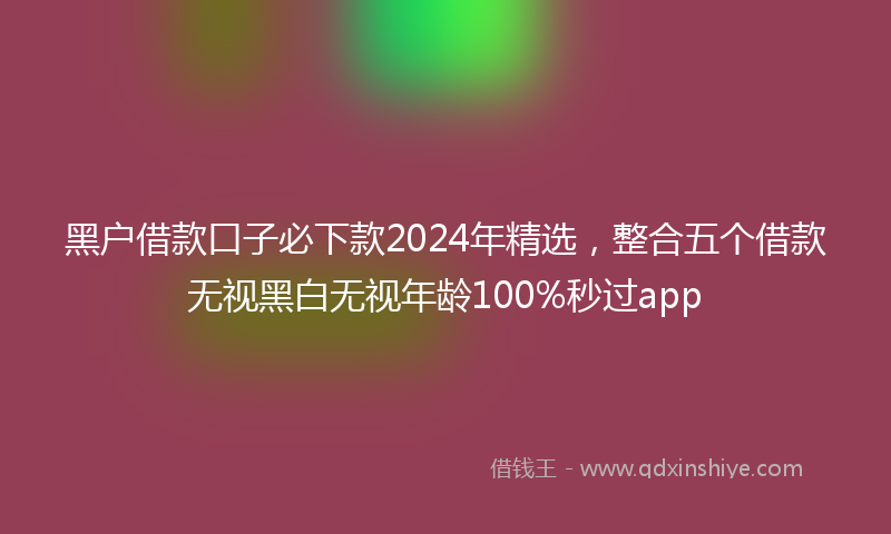黑户借款口子必下款2024年精选，整合五个借款无视黑白无视年龄100%秒过app