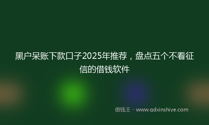 黑户呆账下款口子2025年推荐，盘点五个不看征信的借钱软件