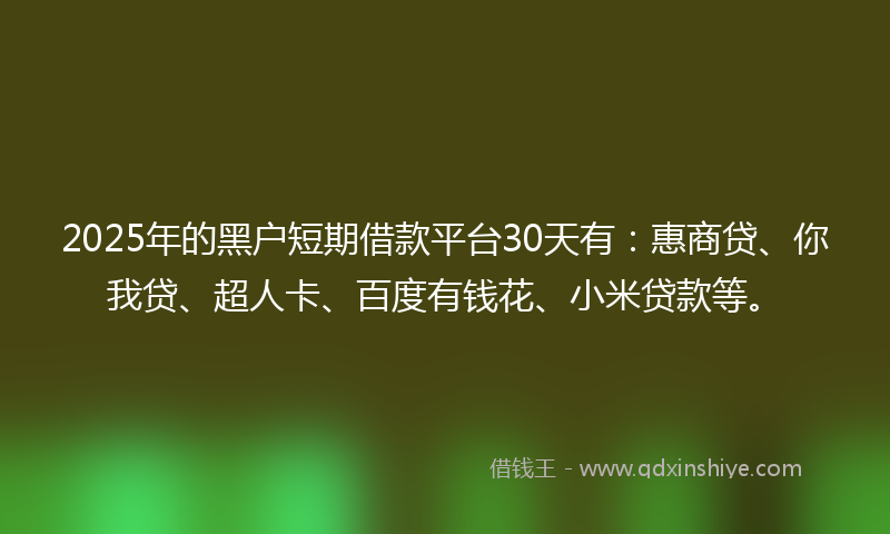 2025年的黑户短期借款平台30天有：惠商贷、你我贷、超人卡、百度有钱花、小米贷款等。