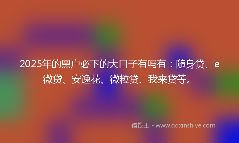 2025年的黑户必下的大口子有吗有：随身贷、e微贷、安逸花、微粒贷、我来贷等。