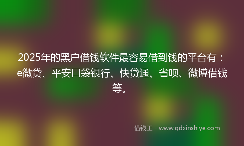 2025年的黑户借钱软件最容易借到钱的平台有：e微贷、平安口袋银行、快贷通、省呗、微博借钱等。