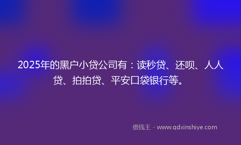 2025年的黑户小贷公司有：读秒贷、还呗、人人贷、拍拍贷、平安口袋银行等。