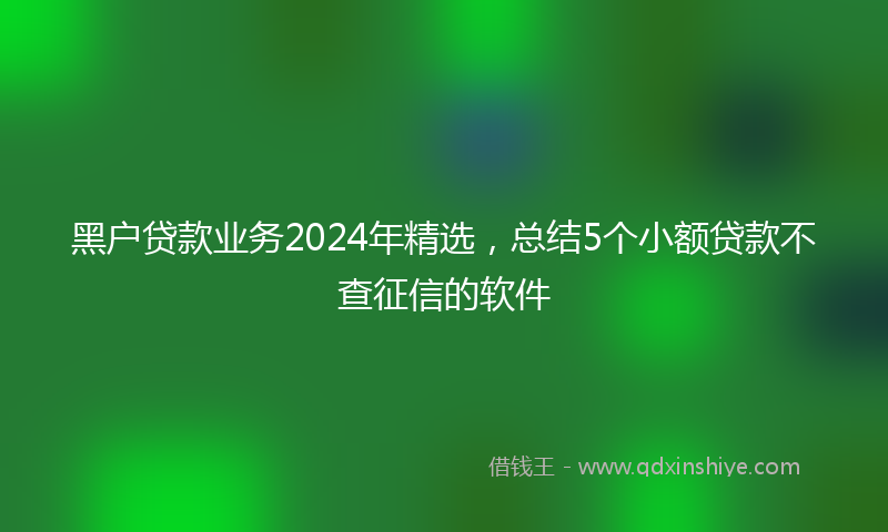 黑户贷款业务2024年精选，总结5个小额贷款不查征信的软件