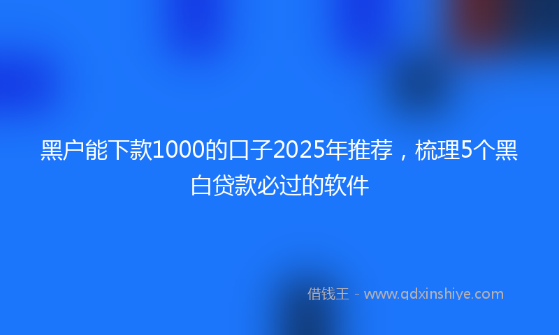 黑户能下款1000的口子2025年推荐，梳理5个黑白贷款必过的软件