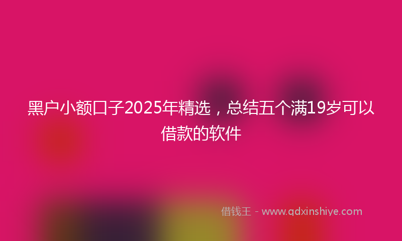 黑户小额口子2025年精选，总结五个满19岁可以借款的软件