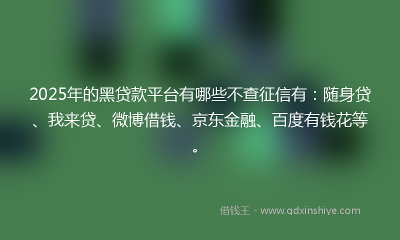 2025年的黑贷款平台有哪些不查征信有：随身贷、我来贷、微博借钱、京东金融、百度有钱花等。