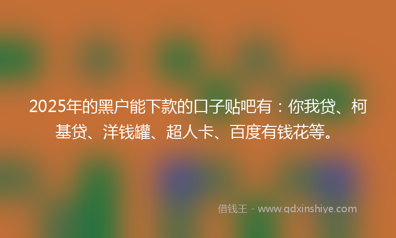 2025年的黑户能下款的口子贴吧有：你我贷、柯基贷、洋钱罐、超人卡、百度有钱花等。