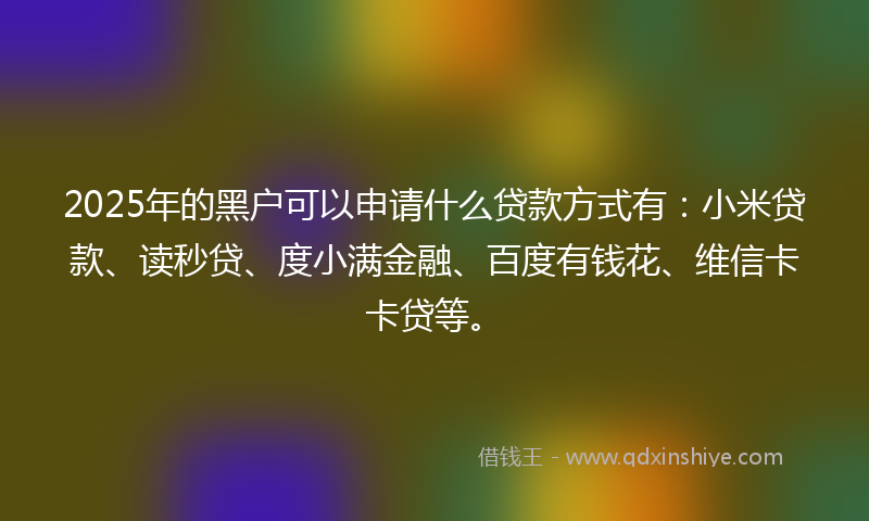2025年的黑户可以申请什么贷款方式有：小米贷款、读秒贷、度小满金融、百度有钱花、维信卡卡贷等。