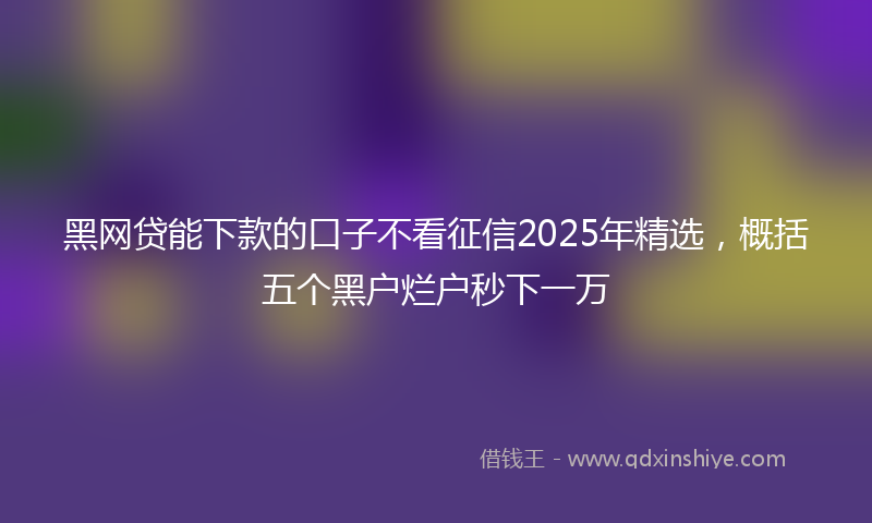 黑网贷能下款的口子不看征信2025年精选，概括五个黑户烂户秒下一万